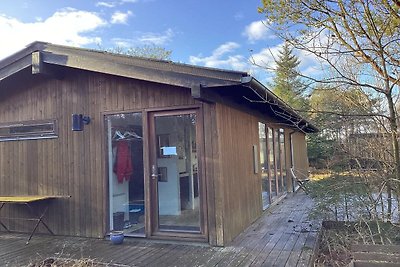 4 Sterne Ferienhaus in Ålbæk