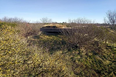 10 Personen Ferienhaus in Skjern-By Traum
