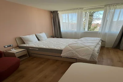 Vakantiehuis Ontspannende vakantie Mulhouse