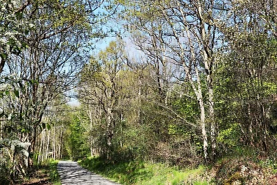 4 Personen Ferienhaus in STRÅVALLA