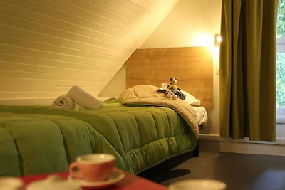 Beautiful family apartment in Amboise