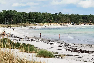 Ferienhaus in der Nähe des Strandes in Ahus
