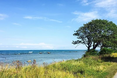 4 Personen Ferienhaus in VISBY