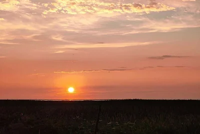 6 Personen Ferienhaus in Ulfborg-By Traum