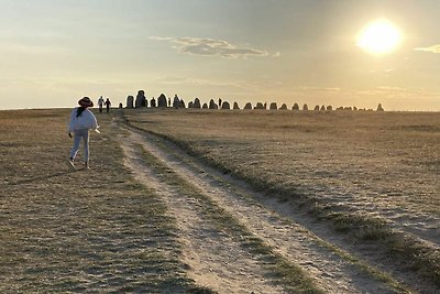 4 sterren vakantie huis in FARHULT