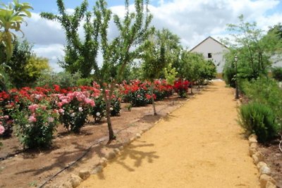 Ruim appartement in Carmona met tuin