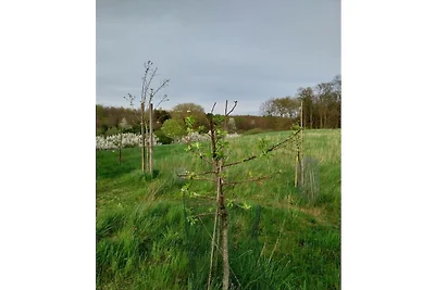 Naturnahes Ferienhaus