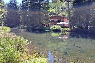 Wohnung in Elsass mit privater Terrasse