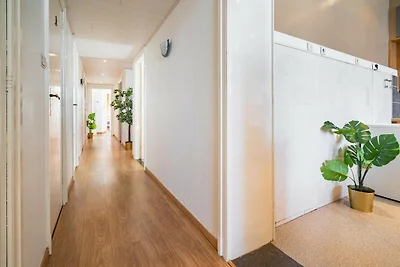 Große Apartments im Stadtzentrum von Antwerpe...