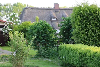 Ferienwohnung mit 2 Schlafzimmer