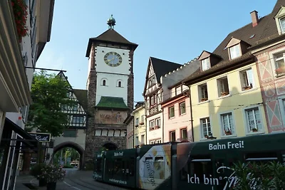 Ferienhaus Erholungsurlaub Freiburg