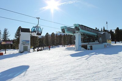 Chalet im Skigebiet