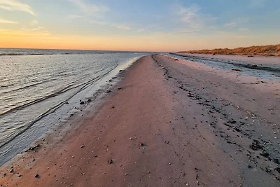 Lichte kustschuilplaats in LyngsAY-By Traum