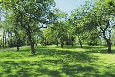 Ferienwohnung mit 2 Schlafzimmer