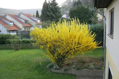 Im Haus Spessartblick