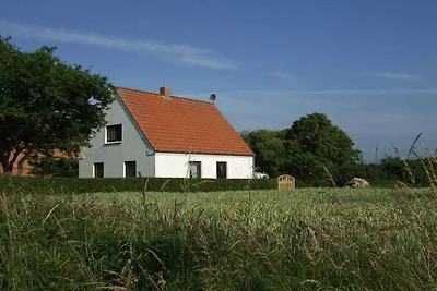 Familie Schmidt - melkstal