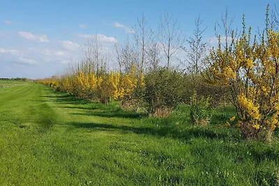 4 Personen Ferienhaus in Nykøbing M-By Traum