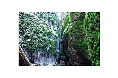 Ferienwohnung mit 1 Schlafzimmer