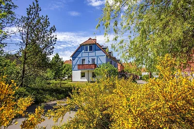 Wohnung in Fleesensee Golf & Wasserspaß