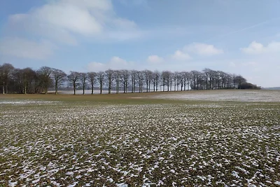 Meereszauber in Boged-By Traum