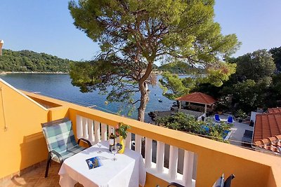 Apartments Vinko Mljet- One-Bedroom Apartment...