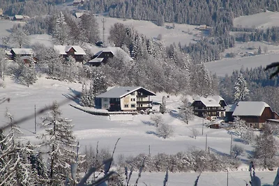 Wohnung in Afritz nahe Skigebieten