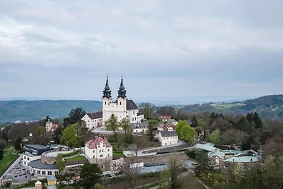 Appartements nicht weit von der Donau