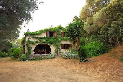 Maison de vacances à Aregno avec piscine