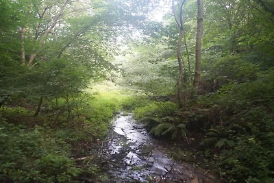 10 persoons vakantie huis in Brovst