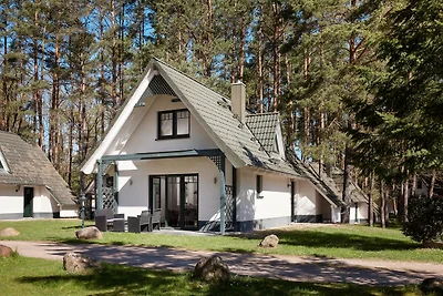 Vakantiehuizen in het natuurresort Drewitz