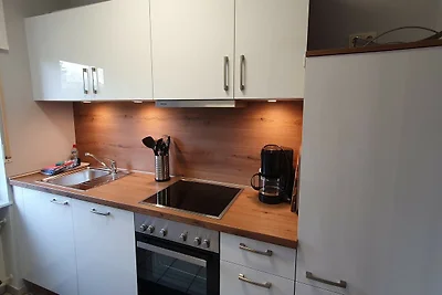 Moderne woning met tuin midden in een...