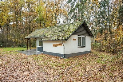 Modernes Ferienhaus in einem Naturpark in...