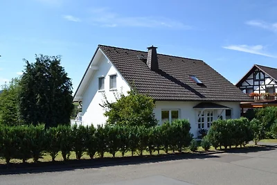 Ferienhaus in Dodenau mit Schwimmbecken