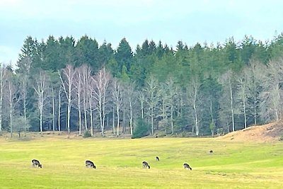 4 Sterne Ferienhaus in PRÄSSEBO