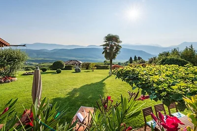 Aurea - Villa Antonius