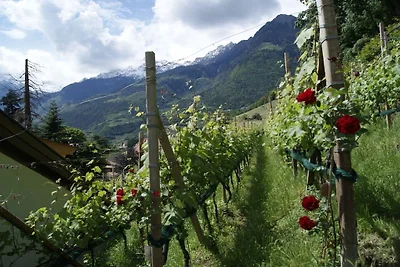 Appartamento a Merano con piscina