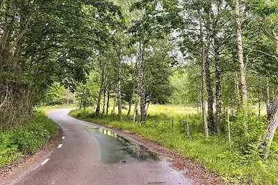 4 Sterne Ferienhaus in Drottningskär