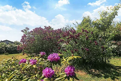 5 Personen Ferienhaus in Bogø By-By Traum