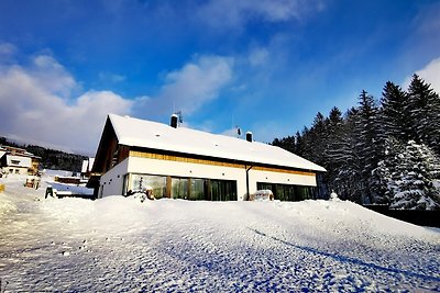 Schöne Villa in der Nähe der Stadt Cerny Dul