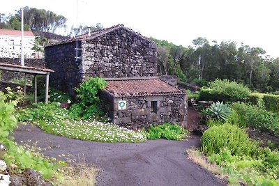 Ferienhaus in Praínha, Pico, Azoren