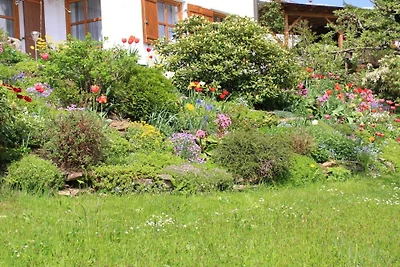Ferienwohnung in Regen mit Schwimmbecken