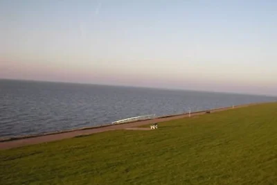Vakantiehuis Ontspannende vakantie Vollerwiek