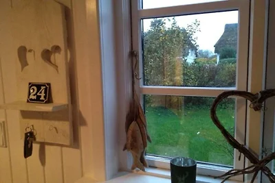 Strandgut Wackerballig