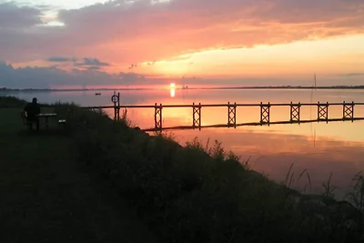 5 Sterne Ferienhaus in Pandrup