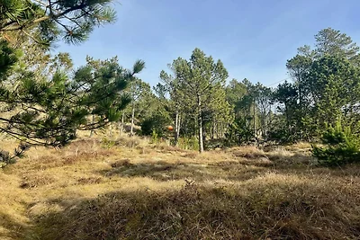 5 Sterne Ferienhaus in Ålbæk