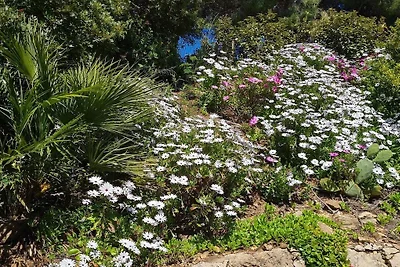 Villa in Les Issambres mit Schwimmbecken