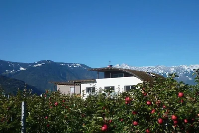 "Rosso" nella fattoria Sandweisen