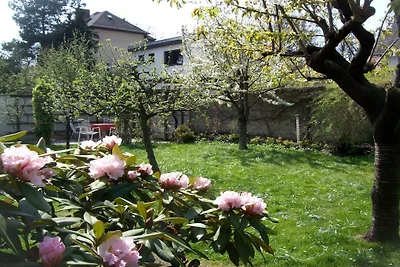 Komfortferienwohnung