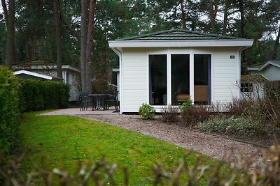 Schönes Chalet im Nationalpark Hoge Veluwe