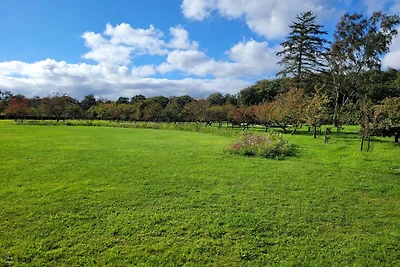 8 Personen Ferienhaus in Sæby-By Traum